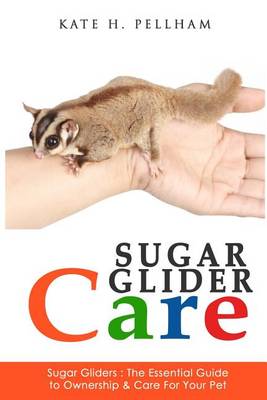 Sugar Gliders