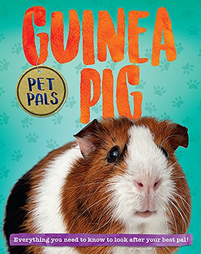 Guinea Pig (Pet Pals)