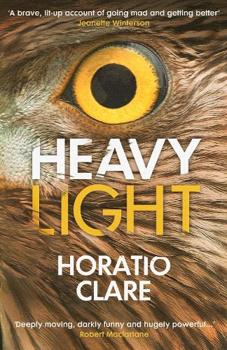 Heavy Light