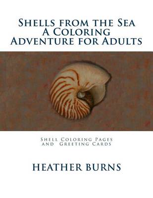 Shells From the Sea