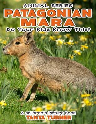 PATAGONIAN MARA Do Your Kids Know This?
