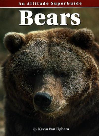 Bears