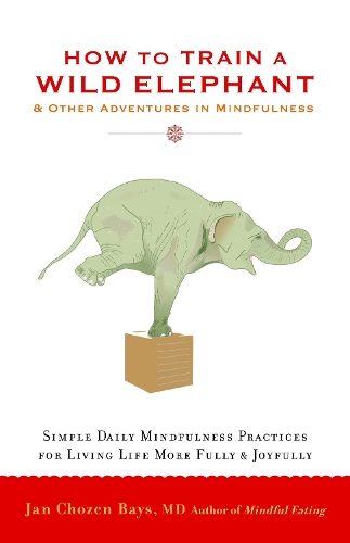 How to Train a Wild Elephant