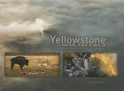Yellowstone: Near, Far, and Wild