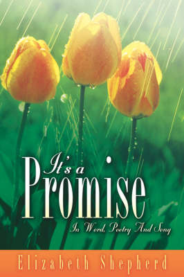 It's A Promise