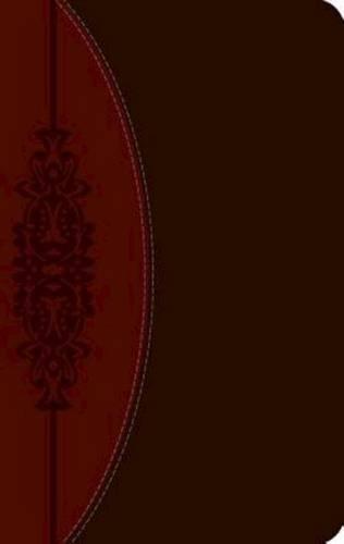 CEB Wesley Study Bible, DecoTone