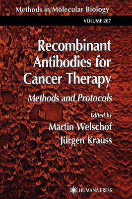 Recombinant Antibodies for Cancer Therapy