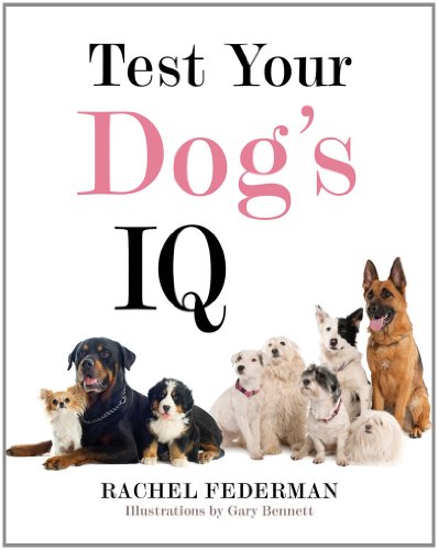 Test Your Dog's IQ