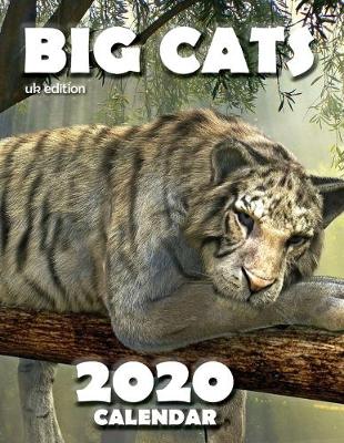 Big Cats 2020 Calendar (UK Edition)
