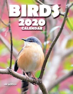 Birds 2020 Calendar (UK Edition)