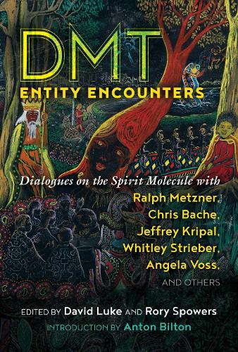 DMT Entity Encounters