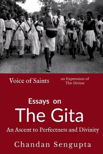 Essays on Gita