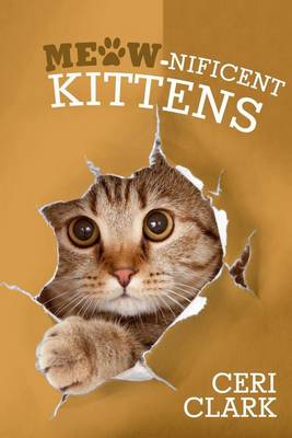 Meow-nificent Kittens