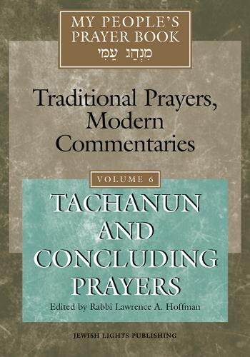 My People's Prayer Book Vol 6