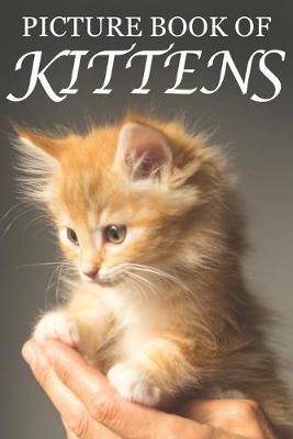 Picture Book of Kittens
