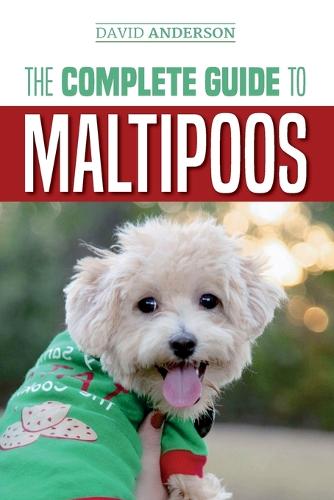 The Complete Guide to Maltipoos