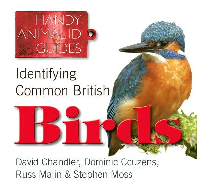 Identifying Common British Birds (Handy Animal ID Guides) (Handy Petcare Guides)