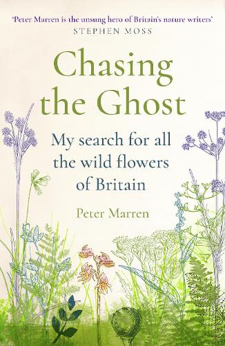 Chasing the Ghost
