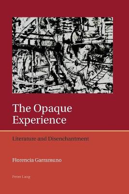 The Opaque Experience