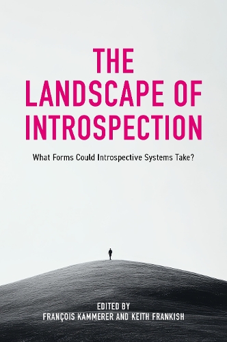 The Landscape of Introspection