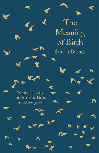 The Meaning of Birds