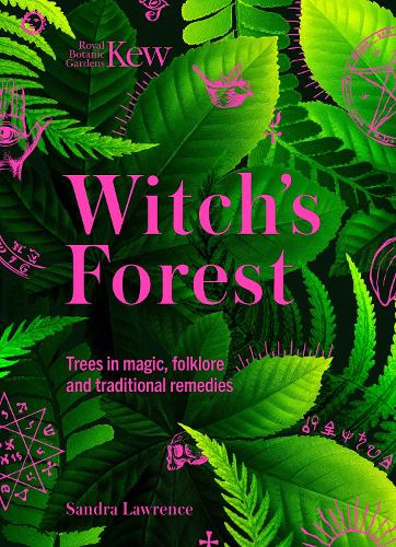 Witch's Forest
