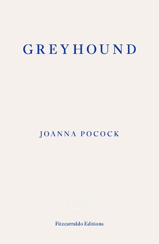 Greyhound