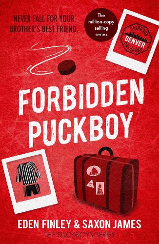 Forbidden Puckboy: An off limits best friend's brother ice hockey romance (Puckboys, 7)