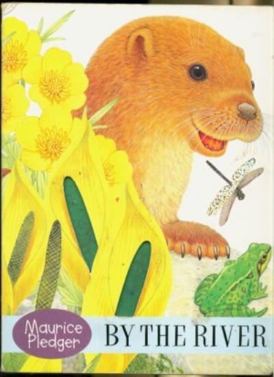 Oscar Otter - By the River (Touch & Feel Board Books)