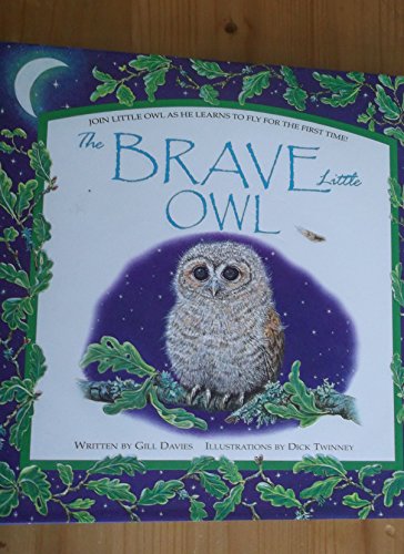 The Brave Little Owl (Embossed Books)