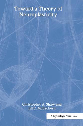 Toward a Theory of Neuroplasticity