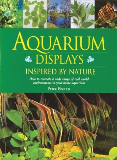 Aquarium Displays Inspired by Nature