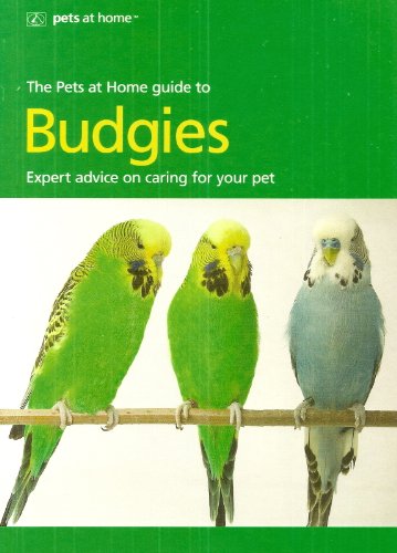 A Quick-n-easy Guide to Keeping Budgies