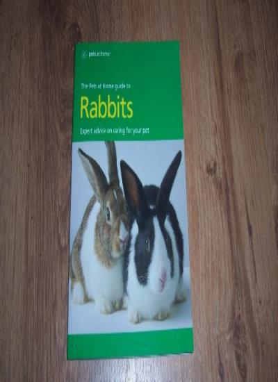 The Pets at Home Guide to Rabbits