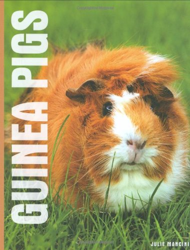 Guinea Pigs