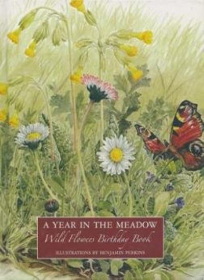 A Year in the Meadow