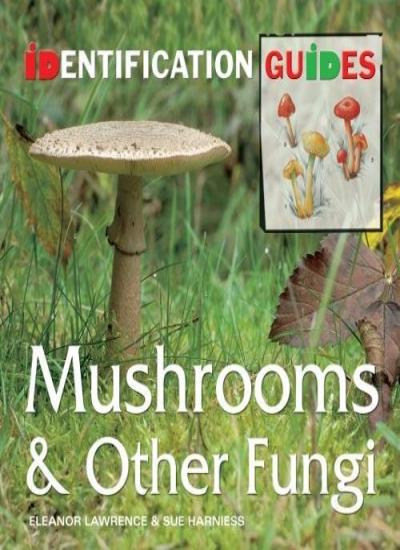 Mushrooms & Other Fungi: Identification Guide (Identification Guides)