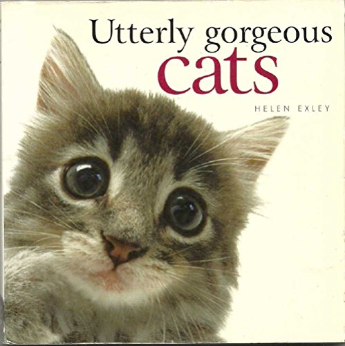 Utterly Gorgeous Cats