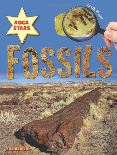 Fossils (Rock Stars)