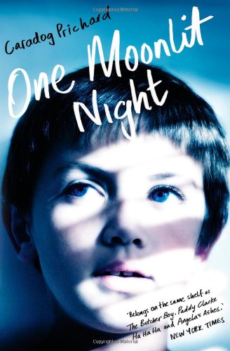 One Moonlit Night