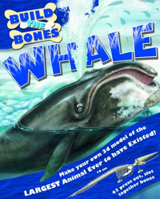 Whale (Build the Bones)