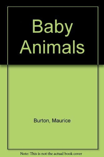 Baby Animals