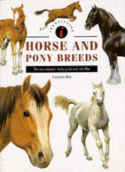 Horse and Pony Breeds (Identifiers)