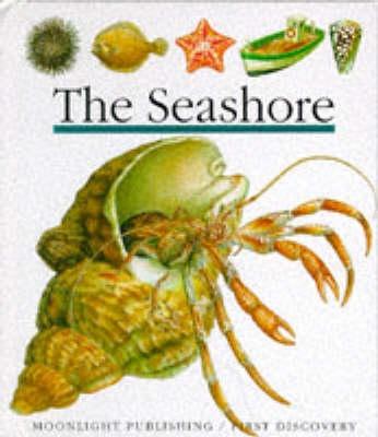 The Seashore (First Discovery) (First Discovery Series)