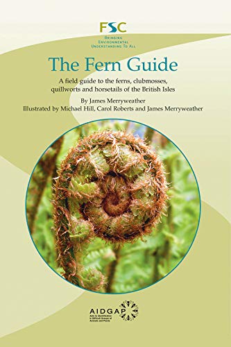 The Fern Guide