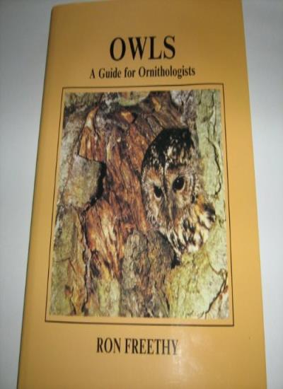 Owls