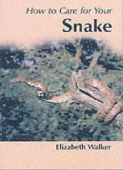 How to Care for Your Snake (Your first)