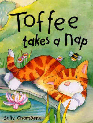 Toffee Takes a Nap