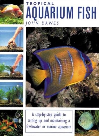 Tropical and Aquarium Fish