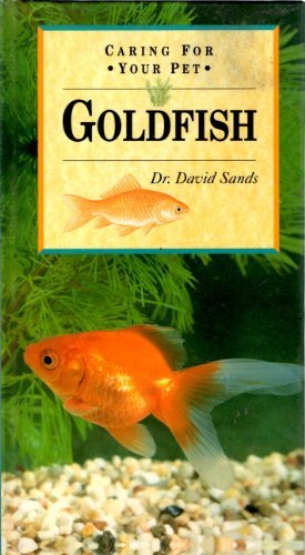 Caring for Your Pet Goldfish